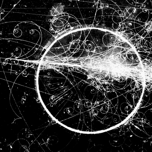 bubble chamber fermilab