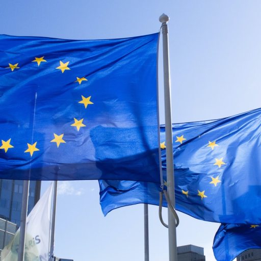 european military
