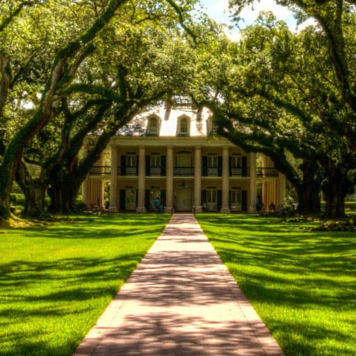 social network wealth