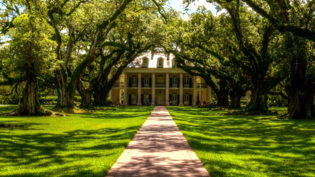 social network wealth