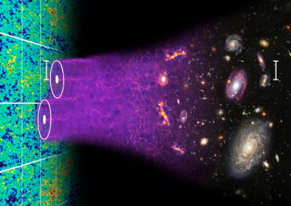 cosmic web formation growth