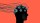 neural feedback