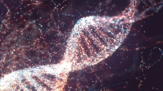 The Genetic Lottery