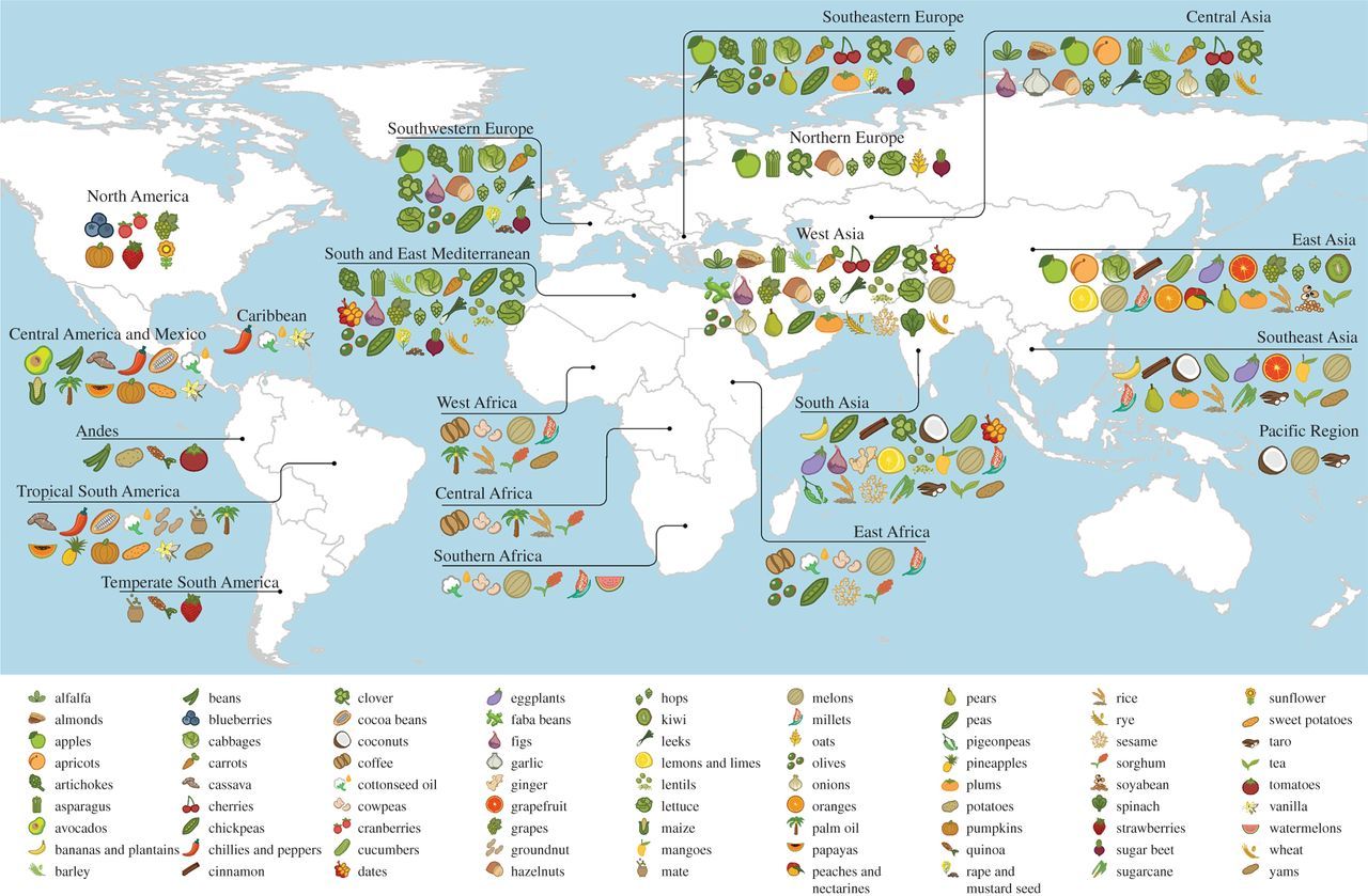 food origins