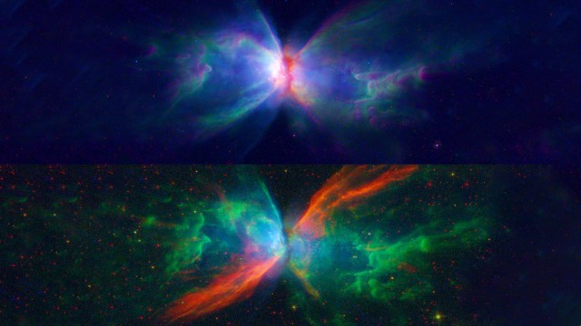 cosmic beauty