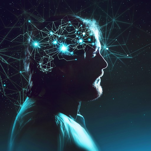 quantum consciousness