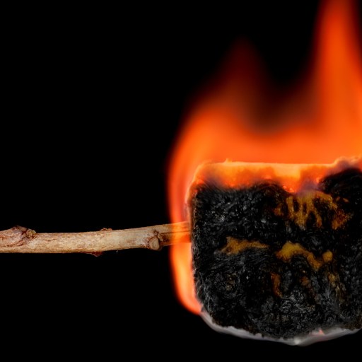 a burnt matchstick with a burnt matchstick sticking out of it.