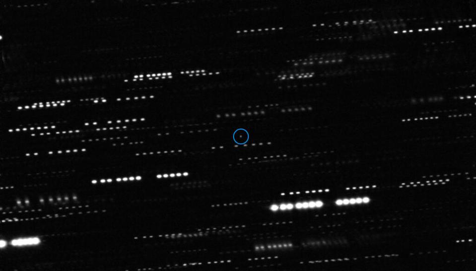 'Oumuamua