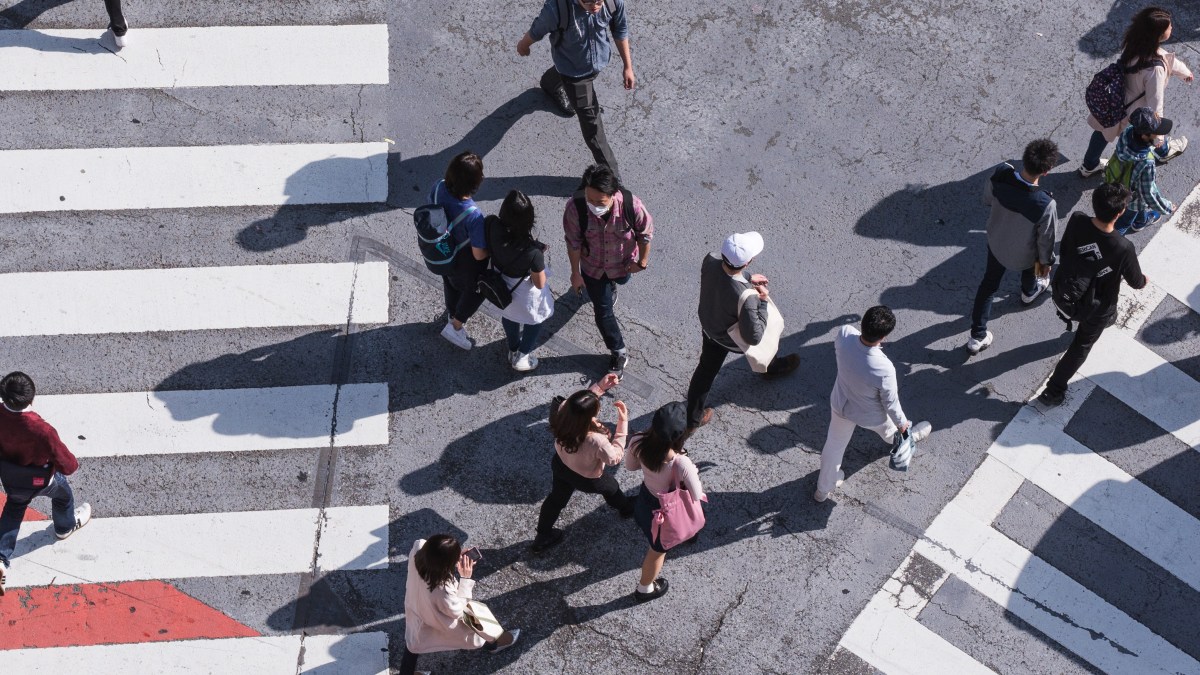 How our brains navigate cities