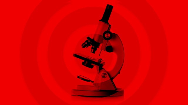 science politics
