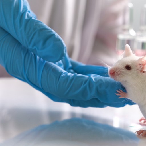 spinal cord injuries