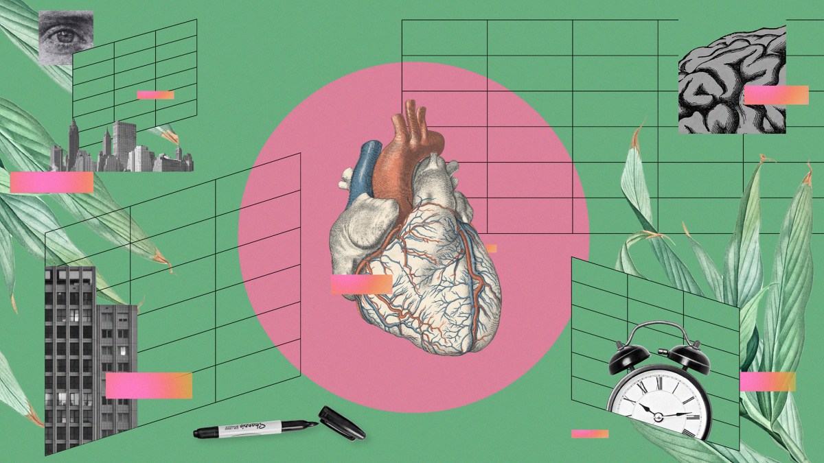 emotional intelligence in the workplace