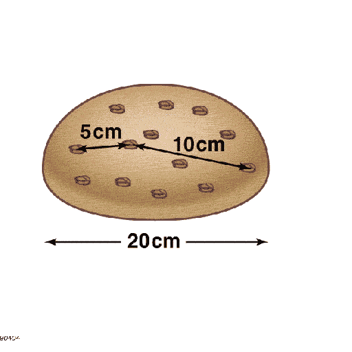 redshift distance raisin bread