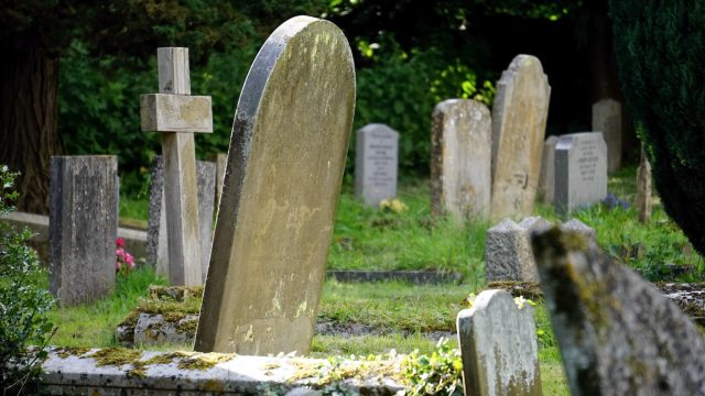 mortality rate