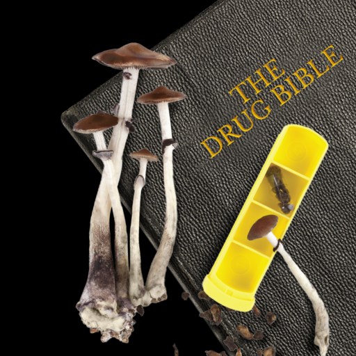 recreational drug use