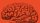 Illustration of a human brain, drawn with black ink lines on a solid orange background, symbolizing intellectual life.