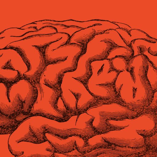 Illustration of a human brain, drawn with black ink lines on a solid orange background, symbolizing intellectual life.