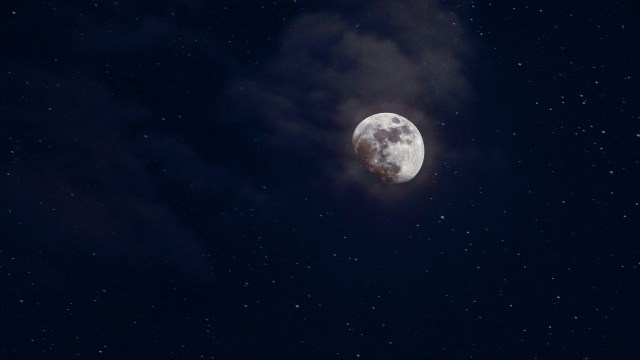 The moon in the night sky.