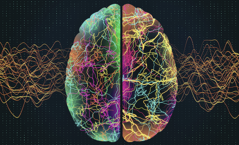 epilepsy memory