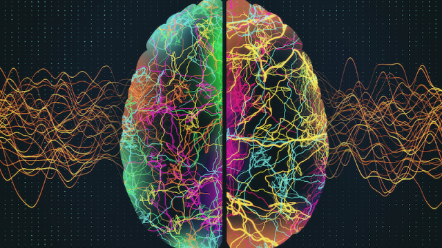 epilepsy memory