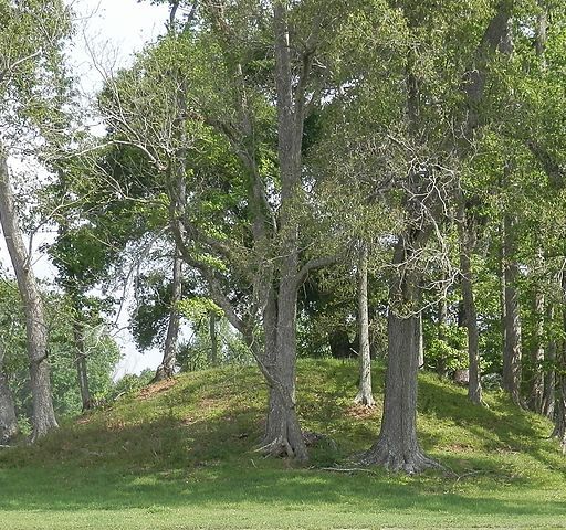 Hopewell mound