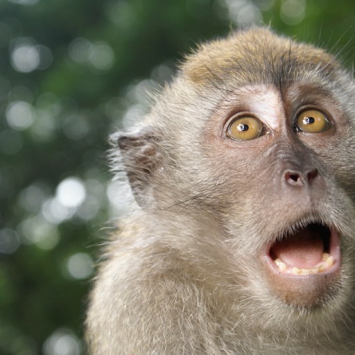 choking under pressure