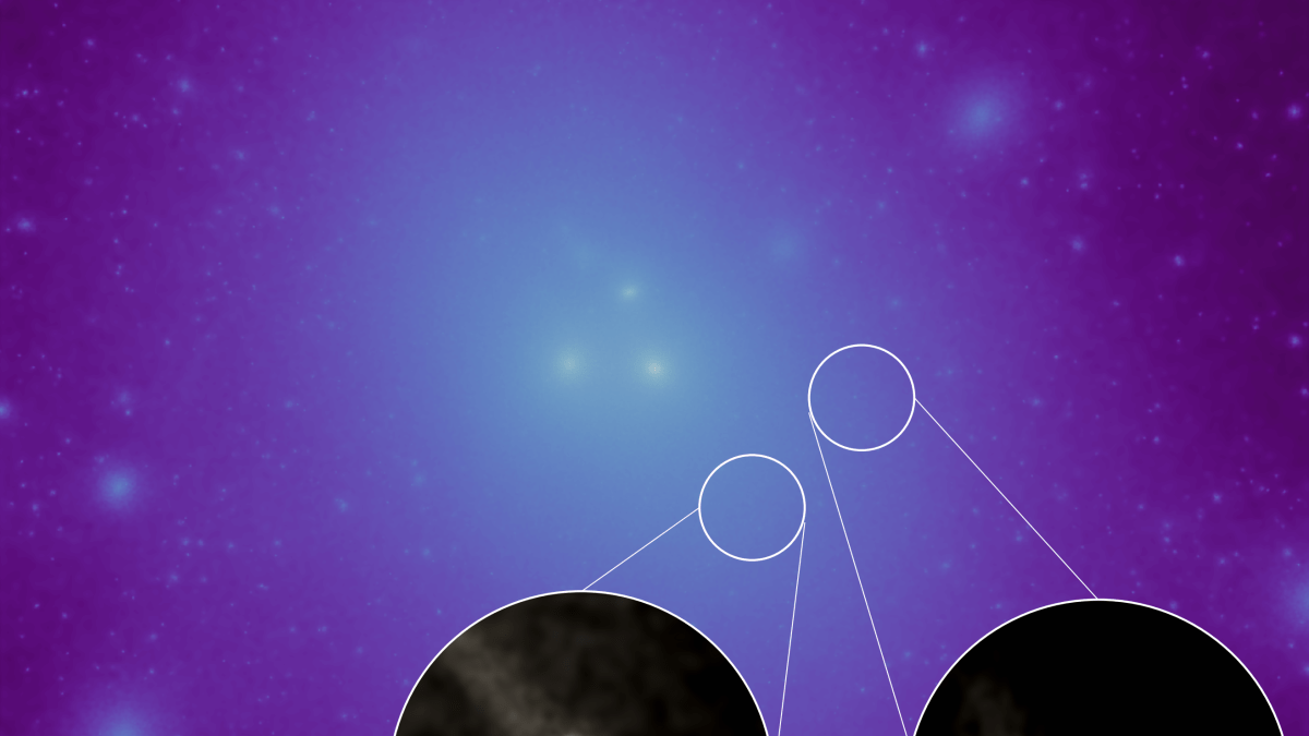 galaxies without dark matter