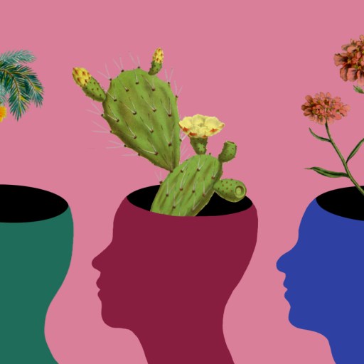 inclusion in the workplace