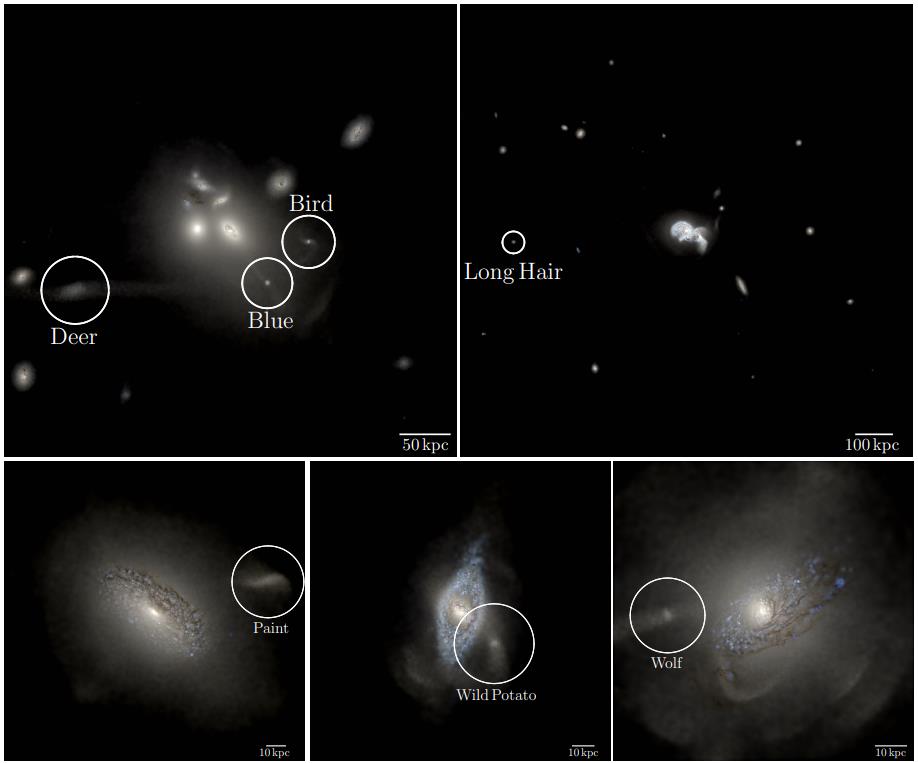 galaxies without dark matter