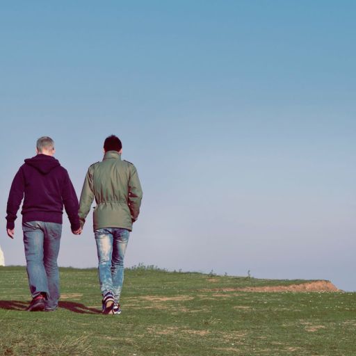 Two men holding hands on a grassy cliff.