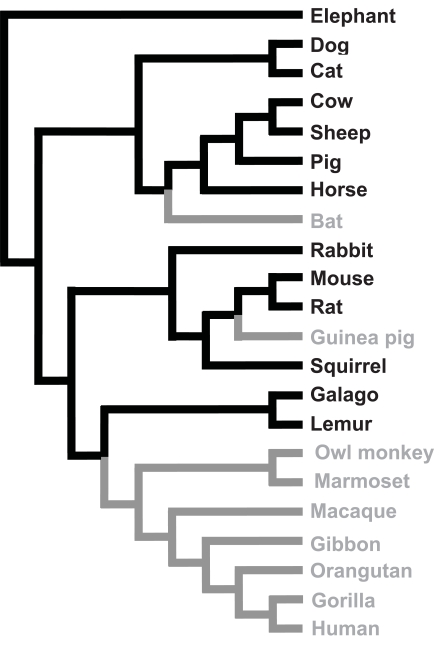 greatest ideas in science