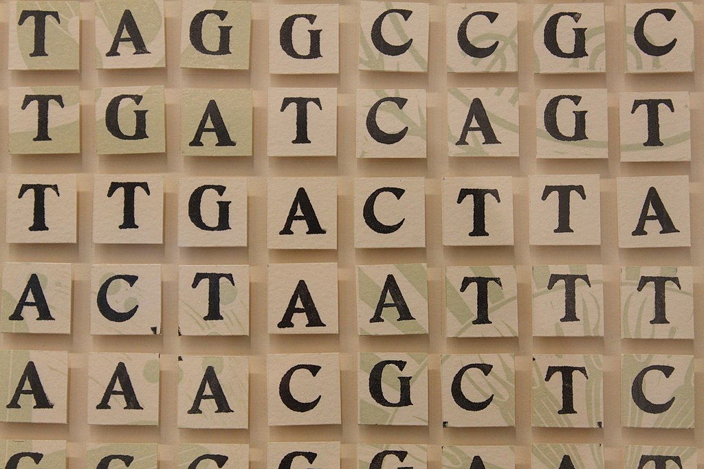 genome editing gattaca