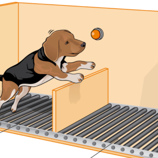 learned helplessness