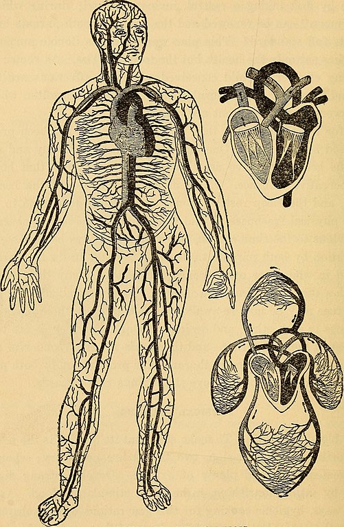 genome editing eugenics