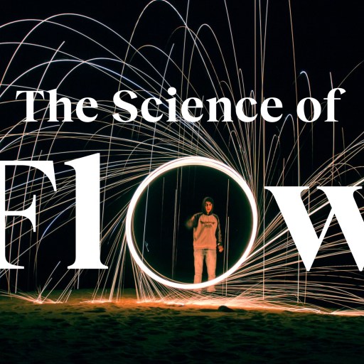 What is flow state