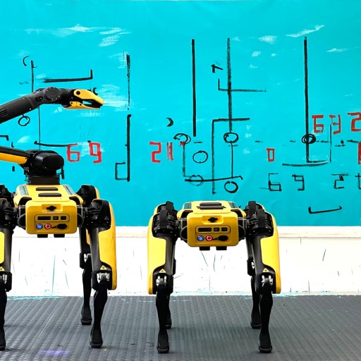 Agnieszka Pilat Boston Dynamics