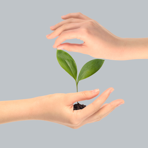 Change Management Training