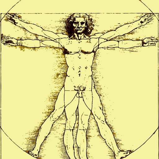 Illustration of a nude male figure with arms and legs extended in two positions, inscribed in a circle and square, known as the Vitruvian Man by Leonardo da Vinci, exemplifying the law of symmetry in human anatomy.