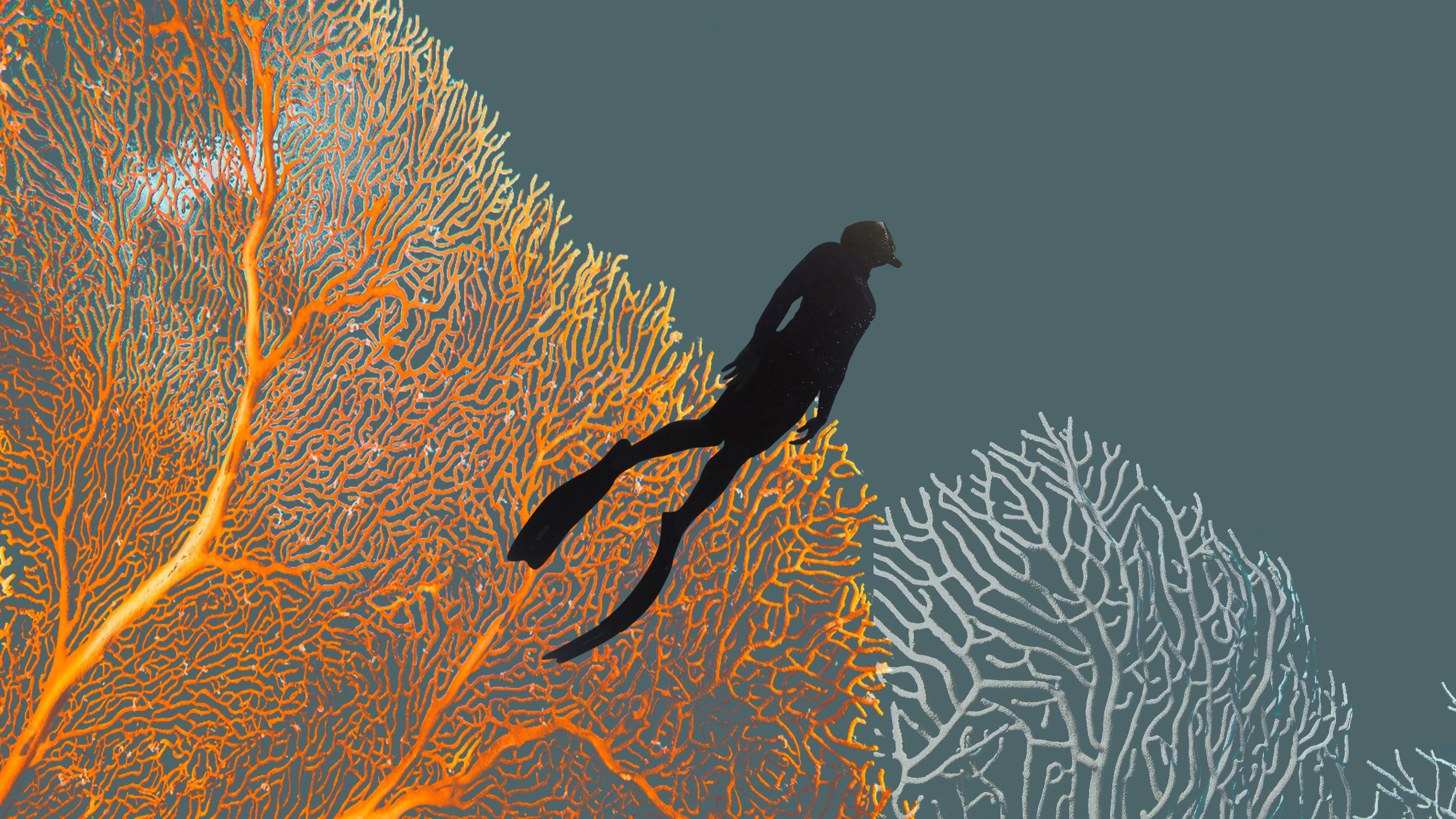 Immersive Learning
