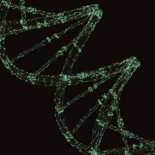 A digital, wireframe illustration of a DNA double helix strand is displayed against a black background, evoking concepts from quantum biology.