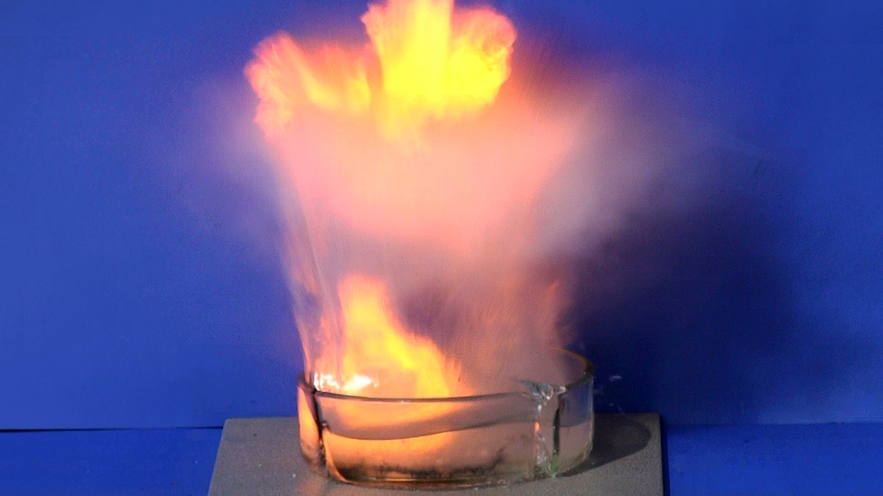 sodium water react