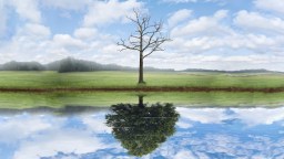 life after near death experiences