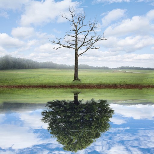 life after near death experiences