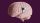Illustration of a human brain with a metallic on/off switch embedded in its side, set against a solid dark purple background.