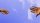 Two hands reaching towards each other against a bright blue sky with clouds, subtly exploring why empathy is bad when it leads to emotional overwhelm.