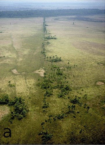 amazon river