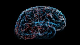 cognitive decline