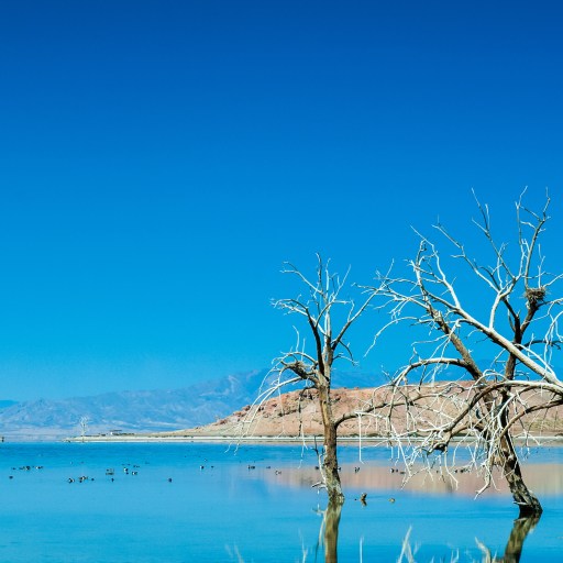 salton sea