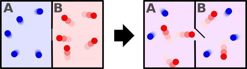 entropy thermodynamics
