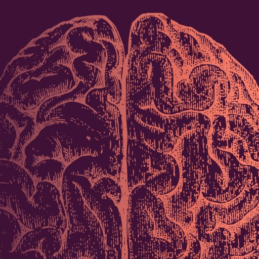 Illustration of the top view of a human brain, showing detailed grooves and folds, with a textured, etched style on a dark background—evoking the complexity of mental feedback loops.